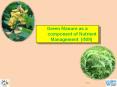 Green Manure as a component of Nutrient Management (INM) PowerPoint PPT Presentation