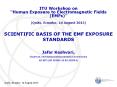 SCIENTIFIC BASIS OF THE EMF EXPOSURE STANDARDS PowerPoint PPT Presentation