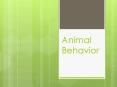 Animal Behavior PowerPoint PPT Presentation