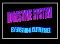DIGESTIVE SYSTEM PowerPoint PPT Presentation