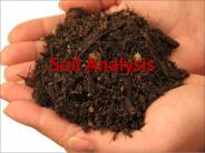 Soil Analysis