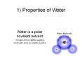 1) Properties of Water PowerPoint PPT Presentation