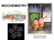 BIOCHEMISTRY