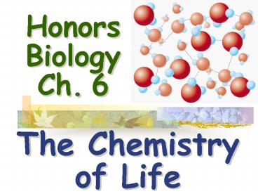 Honors Biology Ch. 6