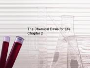 The Chemical Basis for Life Chapter 2