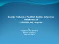 Genetic Features of Resident Biofilms Determine Attachment of PowerPoint PPT Presentation