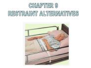 RESTRAINT ALTERNATIVES
