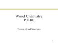 Wood Chemistry PSE 406 PowerPoint PPT Presentation