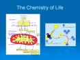 The Chemistry of Life PowerPoint PPT Presentation