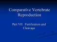 Comparative Vertebrate Reproduction PowerPoint PPT Presentation