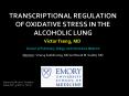 TRANSCRIPTIONAL REGULATION OF OXIDATIVE STRESS IN THE ALCOHOLIC LUNG PowerPoint PPT Presentation