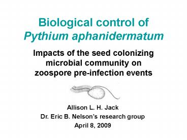 Biological control of Pythium aphanidermatum
