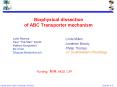 Biophysical dissection of ABC Transporter mechanism PowerPoint PPT Presentation