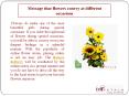 Message that flowers convey at different occasions PowerPoint PPT Presentation
