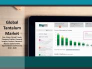 Global Tantalum Market Demands 2020