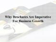 Role of High Quality Brochures in Business Growth PowerPoint PPT Presentation