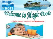 Swimming Pool Maintenance offered  Magic Pool