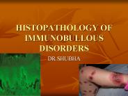 HISTOPATHOLOGY OF IMMUNOBULLOUS DISORDERS