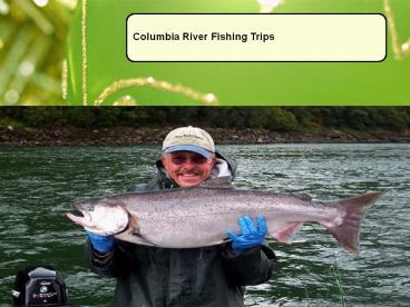 Columbia River Fishing Trips