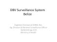 DBV Surveillance System Belize PowerPoint PPT Presentation