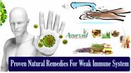 Proven Natural Remedies For Weak Immune System