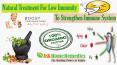 Natural Treatment For Low Immunity To Strengthen Immune System PowerPoint PPT Presentation