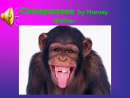 Chimpanzee by Harvey Walker