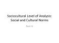 Sociocultural Level of Analysis: Social and Cultural Norms PowerPoint PPT Presentation