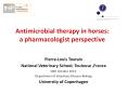 Antimicrobial therapy in horses: a pharmacologist perspective PowerPoint PPT Presentation