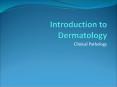 Introduction to Dermatology PowerPoint PPT Presentation