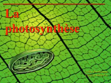 Aucun titre de diapositive