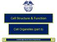 Cell Structure PowerPoint PPT Presentation