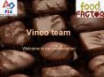 Vinco team PowerPoint PPT Presentation