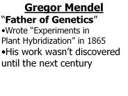 Gregor Mendel