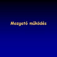 Mozgat