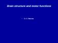 Brain structure and motor functions PowerPoint PPT Presentation