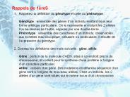 Diapositive 1