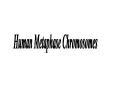 Human Metaphase Chromosomes PowerPoint PPT Presentation