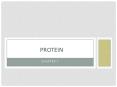 Protein PowerPoint PPT Presentation