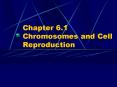 Chapter 6.1 Chromosomes and Cell Reproduction PowerPoint PPT Presentation