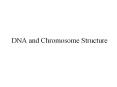 DNA and Chromosome Structure PowerPoint PPT Presentation