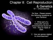 Chapter 8: Cell Reproduction
