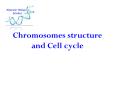 Chromosomes structure and Cell cycle PowerPoint PPT Presentation