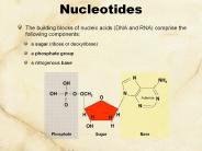 Nucleotides