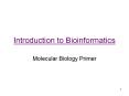 Introduction to Bioinformatics PowerPoint PPT Presentation