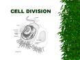 CELL DIVISION PowerPoint PPT Presentation