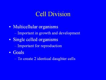 Cell Division