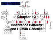 Inheritance Patterns and Human Genetics