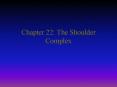 Chapter 22: The Shoulder Complex PowerPoint PPT Presentation
