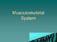 Musculoskeletal System PowerPoint PPT Presentation